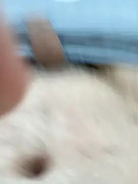 kazikli2 online show from January 2026 09:52:02 PM