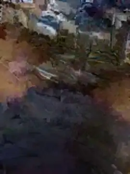 BigAndBeaut online show from April 2026 08:32:01 AM