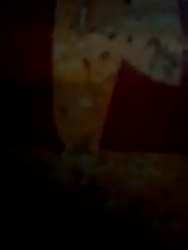 CockForPussy1508 online show from February 2026 06:45:02 AM