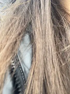 mi-ki1314 online show from March 2026 04:46:02 AM