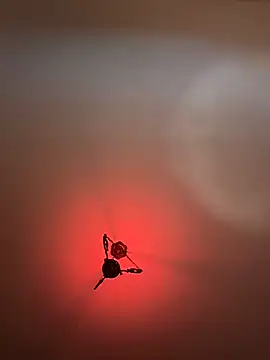 witchdub online show from February 2026 02:07:01 PM