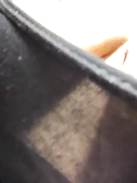 kadani online show from February 2026 03:57:02 AM