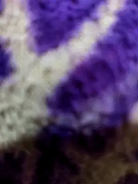 Snapshot of Gaonkadesiland chatting on January 2026 06:22:02 PM Gaonkadesiland online show from January 2026 06:22:02 PM