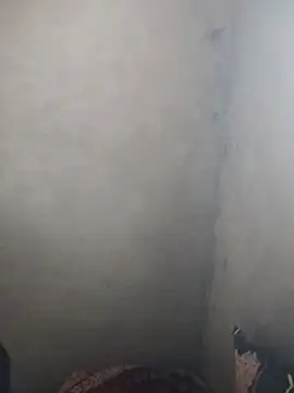 miray- online show from February 2026 09:39:02 AM