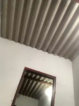 GeorgiandCoi online show from March 2026 09:21:01 AM