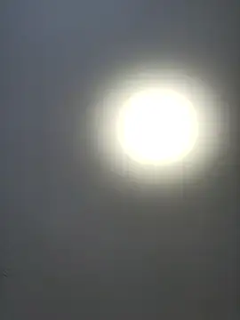 roksa2026 online show from January 2026 08:07:02 AM