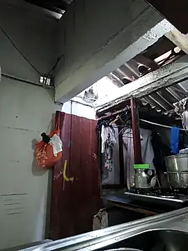 PatriciaGrajales online show from March 2026 02:44:01 PM