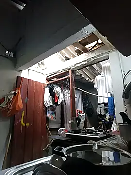 PatriciaGrajales online show from March 2026 04:03:02 PM