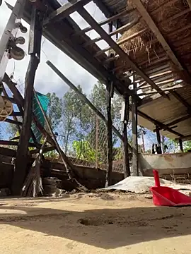 Ginny 2x online show from February 2026 02:53:01 AM