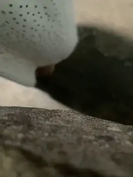 Ginny 2x online show from March 2026 09:31:01 PM