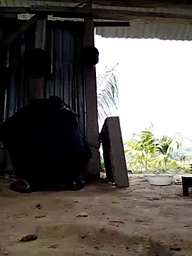 Ginny 2x online show from March 2026 04:09:01 AM