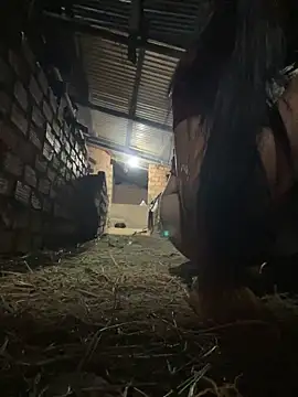 Ginny 2x online show from February 2026 02:06:01 PM