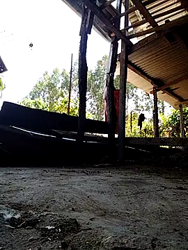 Ginny 2x online show from May 2026 06:40:01 AM