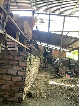 Ginny 2x online show from February 2026 06:26:01 AM