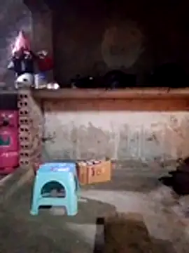 cdyyds-69 online show from January 2026 11:08:02 PM