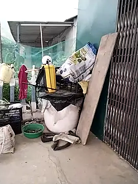 waaini99 online show from April 2026 11:45:01 PM