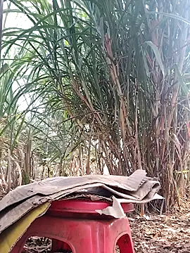 leona118 online show from April 2026 01:01:02 AM