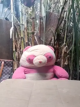 leona118 online show from February 2026 01:27:02 AM