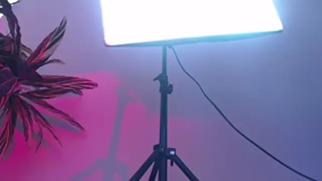 KimiNaru online show from March 2026 04:25:01 PM