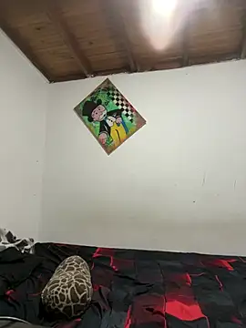 ehc1312 online show from January 2026 09:04:02 AM