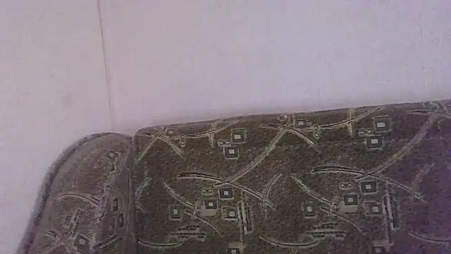Snapshot of Norma_Wall chatting on July 2026 03:23:01 AM Norma Wall online show from July 2026 03:23:01 AM