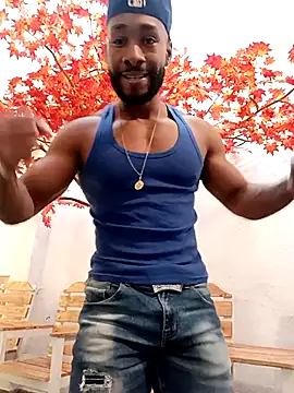 Dante Knox online show from February 2026 11:44:01 AM