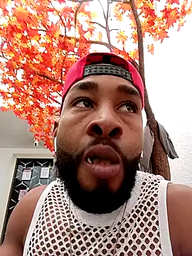 Dante Knox online show from April 2026 06:36:01 PM