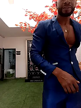 Dante Knox online show from April 2026 11:49:02 AM