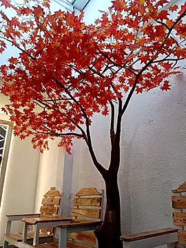 Dante Knox online show from March 2026 11:23:01 AM