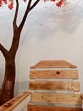 Dante Knox online show from February 2026 11:29:01 AM