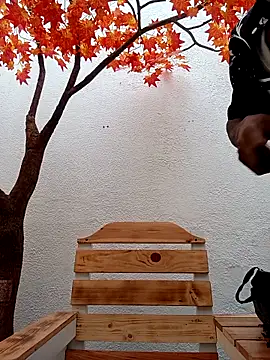 Dante Knox online show from February 2026 11:53:01 AM