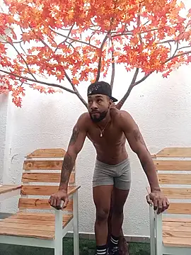 Snapshot of Dante_Knox chatting on June 2026 02:33:01 PM Dante Knox online show from June 2026 02:33:01 PM