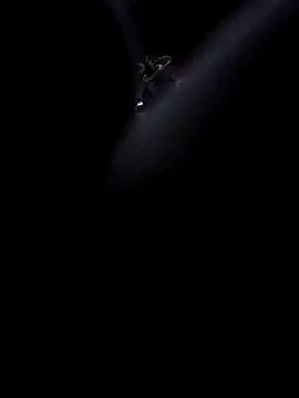 Boy4youuu online show from January 2026 09:19:01 PM