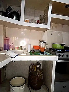 Rous 06 online show from January 2026 06:11:02 PM