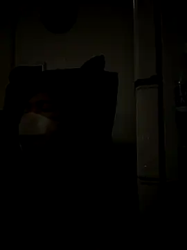 TopnotchCymatium online show from January 2026 05:16:02 PM