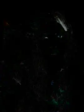 Emma  Carson online show from January 2026 07:09:01 PM