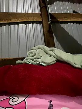 Xo xo237 online show from January 2026 01:56:02 AM