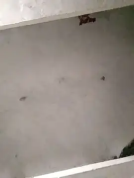 Mafiya0102 online show from January 2026 05:50:01 PM