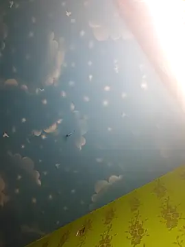 arushi bb online show from February 2026 06:07:02 PM