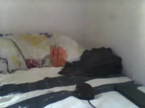 Snapshot of handsomeguy02 chatting on April 2026 02:44:02 PM handsomeguy02 online show from April 2026 02:44:02 PM