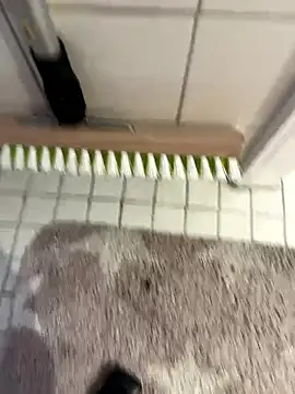 Hamsterdich online show from January 2026 03:59:02 PM