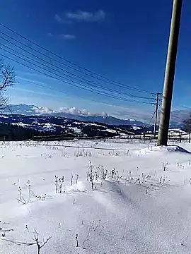 Ivan9iutt online show from January 2026 10:51:02 AM