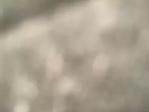 Bignastydaddy204 online show from January 2026 01:56:02 AM