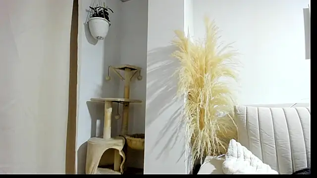  Sweet ary online show from April 2026 02:57:02 AM