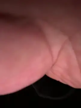 ForagingZealand online show from January 2026 02:37:02 AM