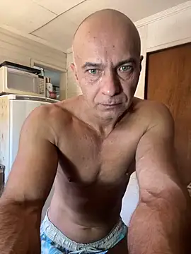 Snapshot of dogfrota chatting on February 2026 03:07:01 PM dogfrota online show from February 2026 03:07:01 PM