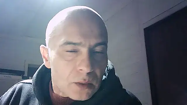 dogfrota online show from June 2026 12:31:01 AM