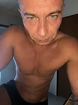 dogfrota online show from March 2026 04:05:02 AM