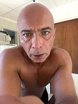 dogfrota online show from March 2026 03:34:02 PM