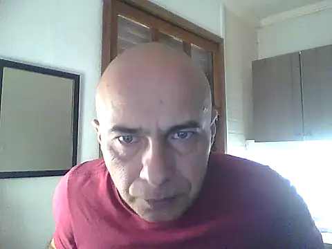 dogfrota online show from May 2026 06:14:01 PM